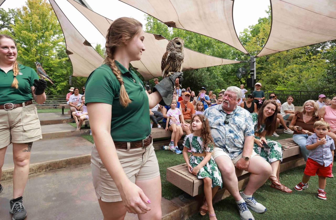 Carnival of the Animals at the Fort Worth Zoo
