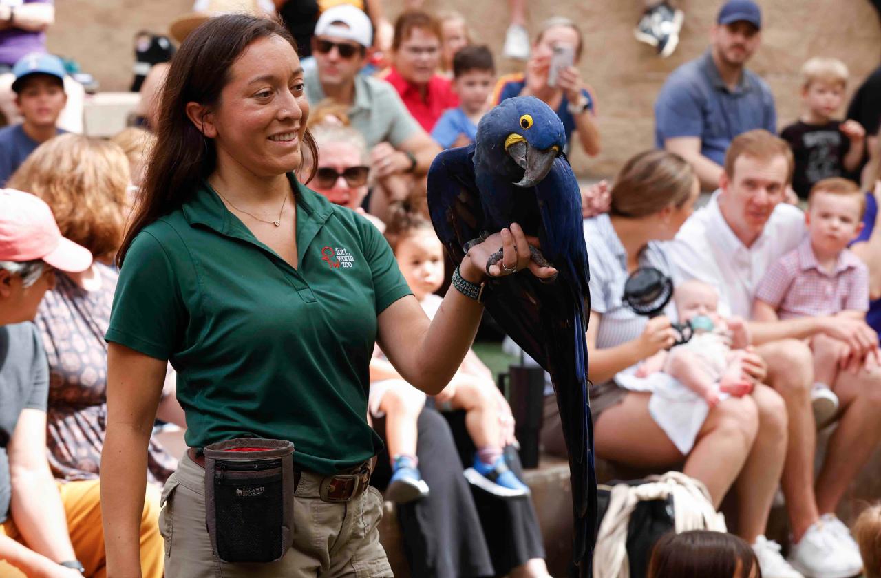 Carnival of the Animals at the Fort Worth Zoo