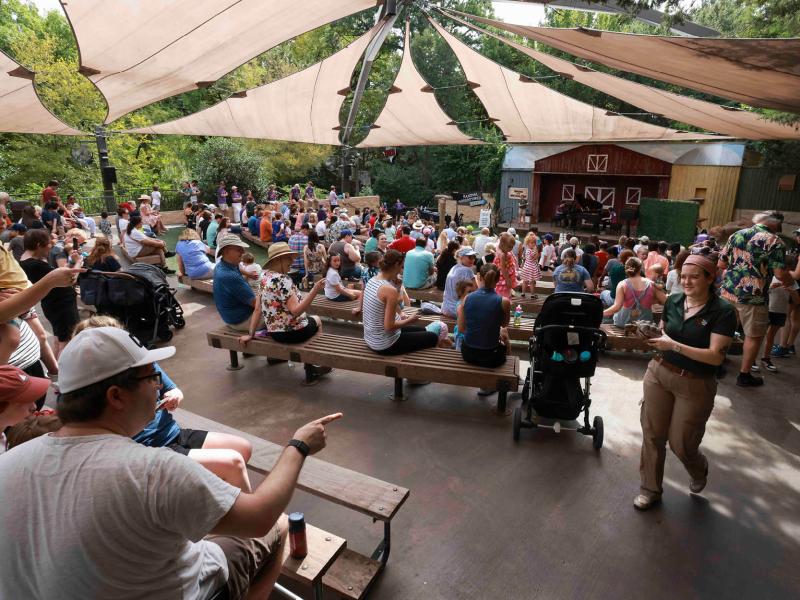 Cliburn Family Concerts at the Fort Worth Zoo